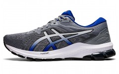 Asics GT-1000 10 2E