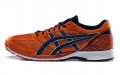 Asics Tartherzeal 4 Wide