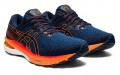 Asics GT-2000 10 2E