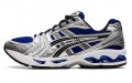 Asics Gel-Kayano 14