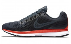 Nike Pegasus 34 Air Zoom