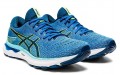 Asics GEL-Nimbus 24