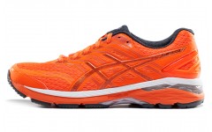 Asics GT-2000 5