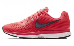 Nike Pegasus 34