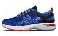 Asics Gel-Kayano 25