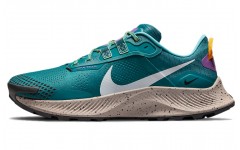 Nike Pegasus Trail 3