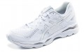 Asics Gel-Kayano 23