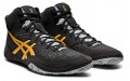 Asics Dan Gable Evo 2