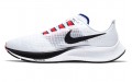 Nike Pegasus 37