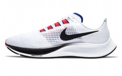 Nike Pegasus 37