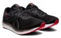 Asics EvoRide 2