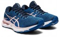 Asics GEL-Nimbus 24