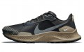 Nike Pegasus Trail 3