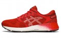 Asics Roadhawk FF 2