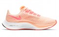 Nike Pegasus 37