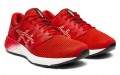 Asics Roadhawk FF 2