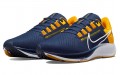 Nike Pegasus 38 "West Virginia"