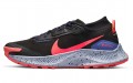 Nike Pegasus Trail 3 GTX