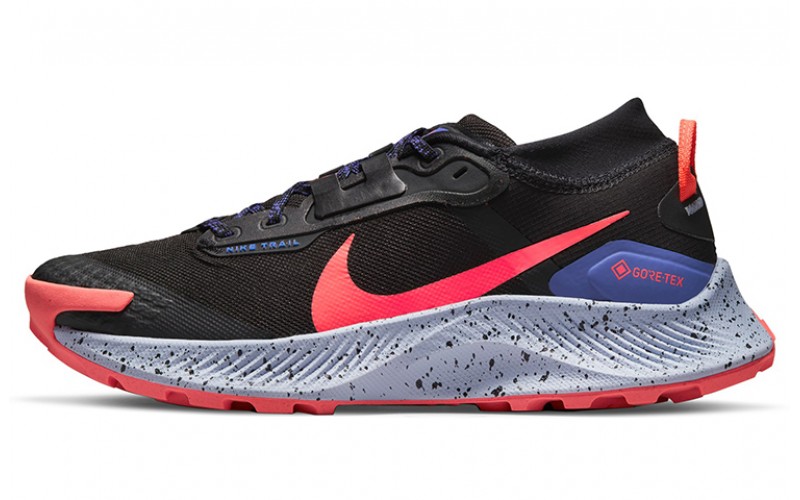 Nike Pegasus Trail 3 GTX