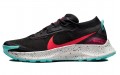 Nike Pegasus Trail 3 Gore-Tex