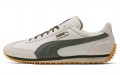 PUMA whirlwind