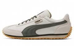 PUMA whirlwind