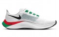 Nike Pegasus 37 Eliud Kipchoge