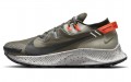 Nike Pegasus Trail 2