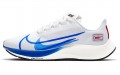 Nike Pegasus 37 premium