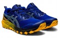 Asics Gel-Trabuco 9