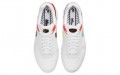 Nike Air Max 1 "Evolution Of Icons"