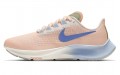 Nike Pegasus 37