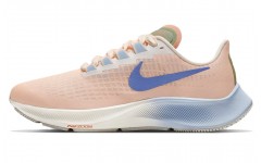 Nike Pegasus 37