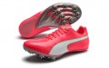 PUMA Evospeed Sprint 10