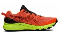 Asics Gel-Trabuco 10