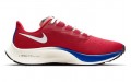 Nike Pegasus 37