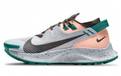 Nike Pegasus Trail 2