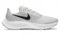 Nike Pegasus 37 TB