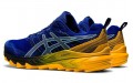 Asics Gel-Trabuco 9