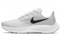 Nike Pegasus 37 TB