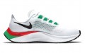 Nike Pegasus 37 eliud kipchoge