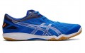 Asics Attack Dominate FF