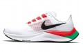 Nike Pegasus 37 eliud kipchoge