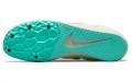 Nike Zoom Rival D 10