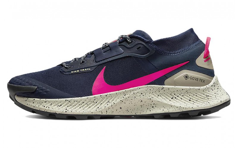 Nike pegasus trail 3 gtx