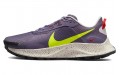 Nike Pegasus Trail 3