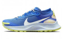 Nike Pegasus Trail 3 Gore-Tex