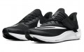 Nike Pegasus FlyEase