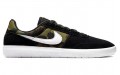 Nike SB Team Classic