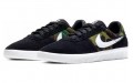 Nike SB Team Classic